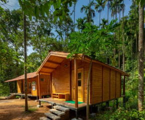 Chalets in Agumbe RainForest